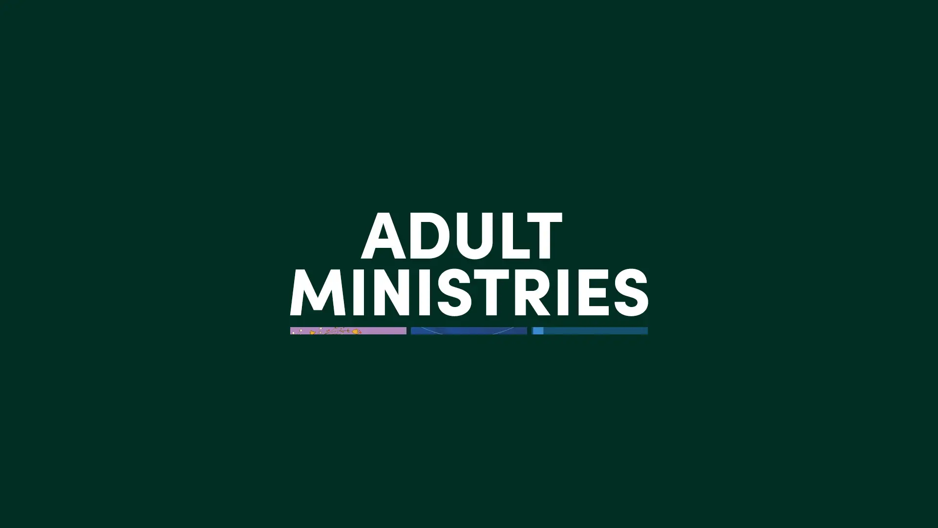 Adult Ministries - Programs and groups for adults
